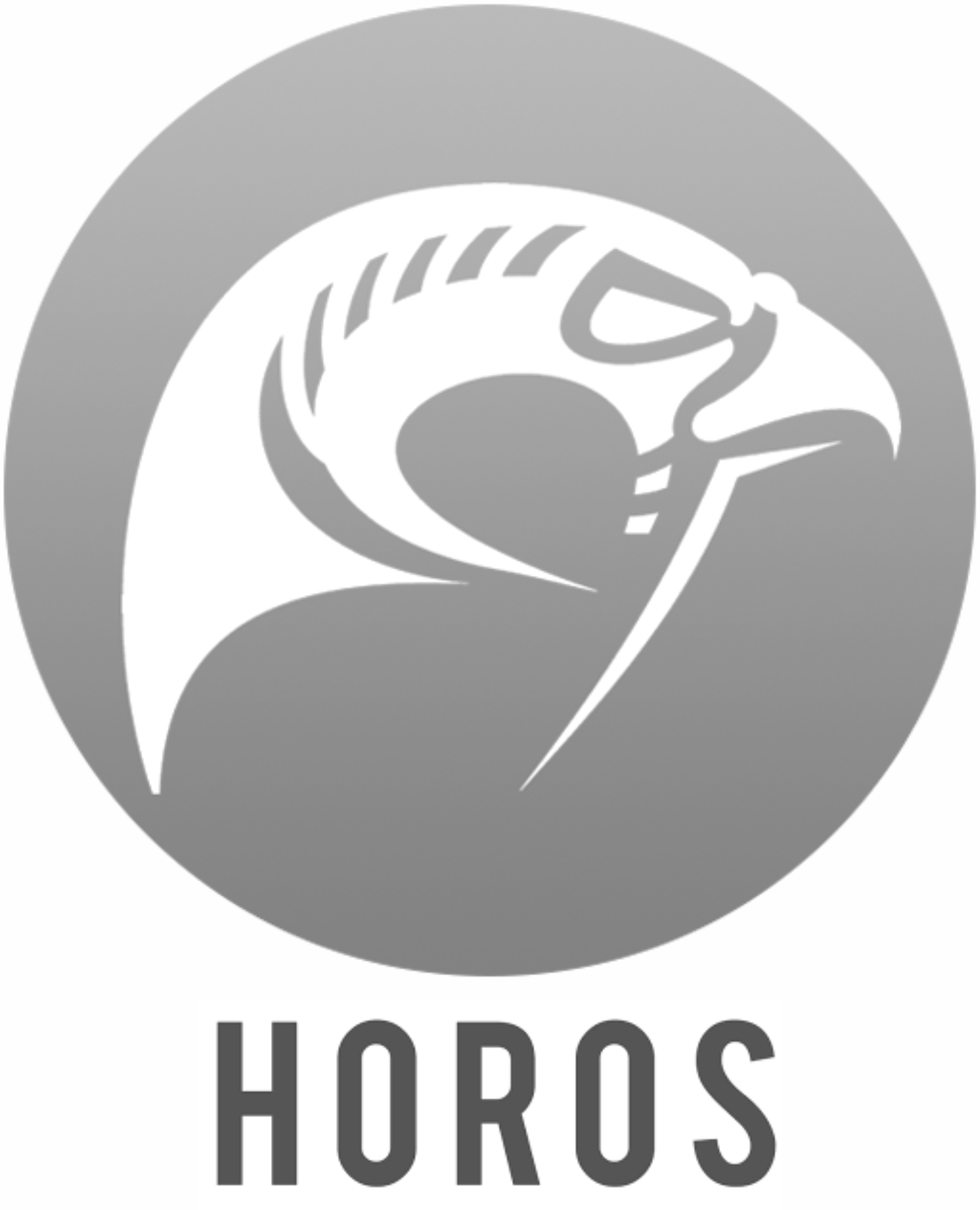 HOROS Project